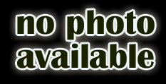 No Photo Available